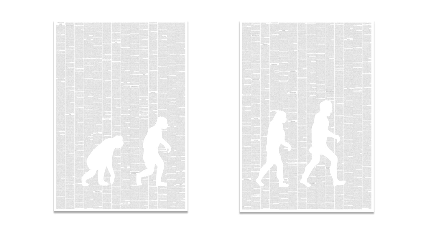 On The Origin of Species Two sheet Ascent design
